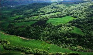 حلیل سیستمی کاهش سطح جنگل های هیرکانی